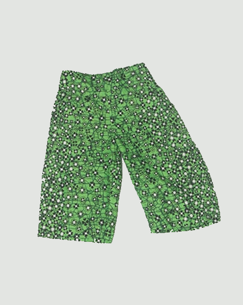 Erin Shorts